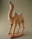 camel14