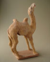 camel17