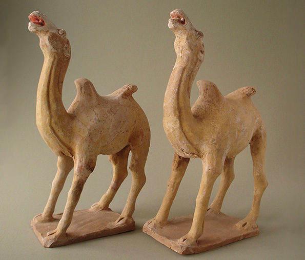 Chinese Pottery Camels – Tang Dynasty (Each Priced At)